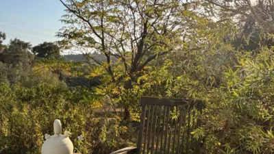 Rustic Finca in Selwo photo 13