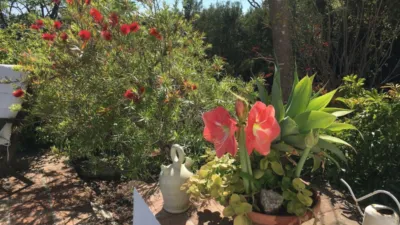 Rustic Finca in Selwo photo 14