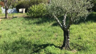 Rustic Finca in Selwo photo 16