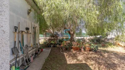 Chalet in Los Balcones photo 18