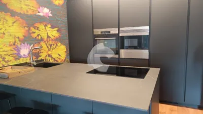 Penthouse in Parque San Lazaro photo 4
