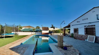 House in La Estacada de Las Cabras photo 14