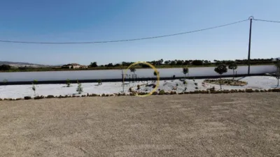 Finca rústica en venta en Murcia, Lorca, Lorca, La Hoya-Almendricos-Purias (Lorca) de 330.000 €