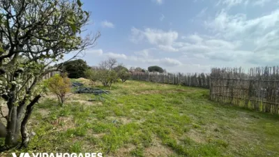 Rustic Finca in Aguadulce-Almadraba-Punta Candor photo 2