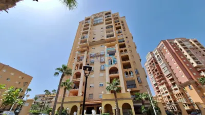 Piso en Torrevieja photo 36