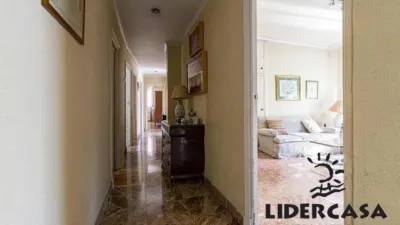 Apartment in Santa María de Gracia photo 20