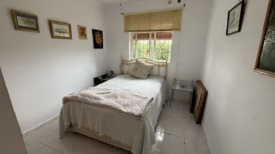 Rustic Finca in Centro photo 15
