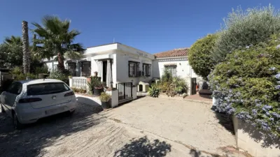 Rustic Finca in Centro photo 5