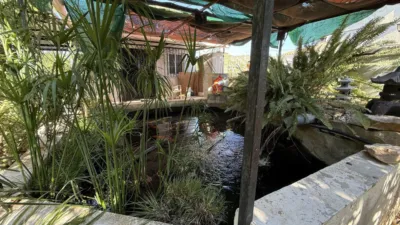Rustic Finca in Centro photo 7