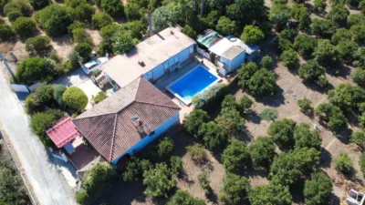 Rustic Finca in Centro photo 9