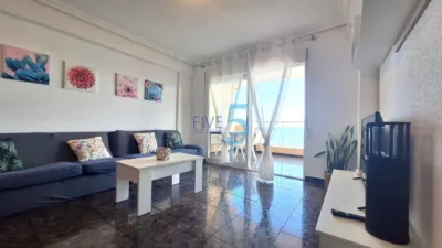 Apartment in Santa Pola photo 10