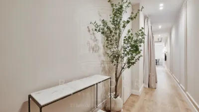 Apartment in Ibiza/Retiro photo 19