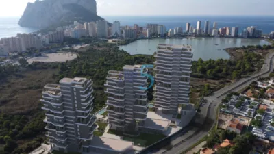 Apartment in Calpe photo 15