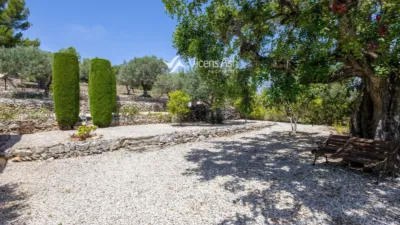House in Pedreguer photo 35