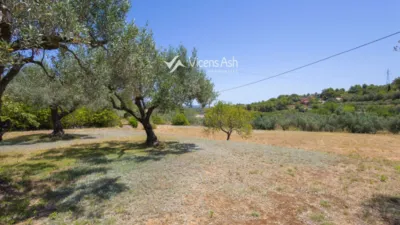 House in Pedreguer photo 37