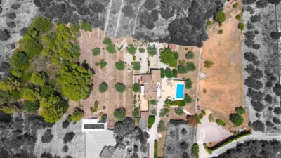 House in Pedreguer photo 41