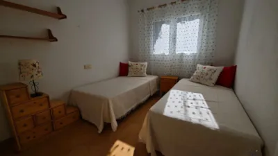 Apartment in Cabo Roig-La Zenia-La Regia photo 20