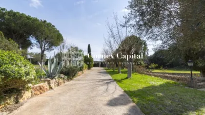 Chalet on Begur Street photo 59