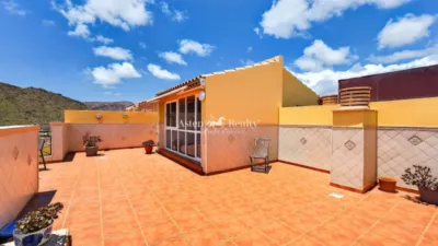 Pétalo Street, 2 – Penthouse photo 6