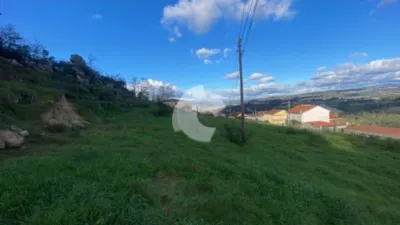 House in Barbadas photo 12