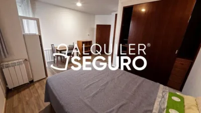Estudio en alquiler en Retiro - Imagen 11