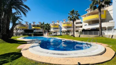 Apartment in Villamartin photo 18