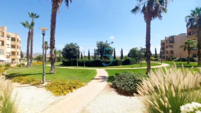 Apartment in United Golf Resort photo 27