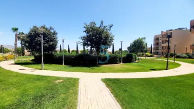 Apartment in United Golf Resort photo 29