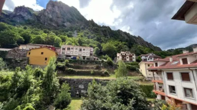 Apartment in Pola de Somiedo photo 17