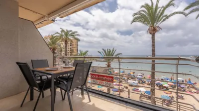 Apartment in Torrevieja photo 28