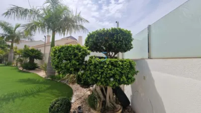 Villa in Villamartin photo 33