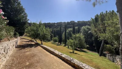 Rustic Finca in Setenil de las Bodegas photo 61
