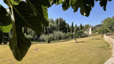 Rustic Finca in Setenil de las Bodegas photo 63