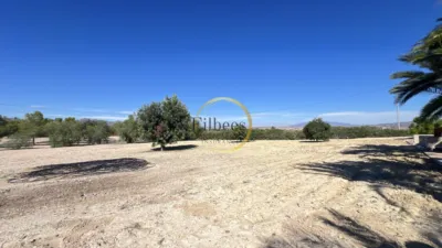 Finca rústica en Murcia, Mazarrón, Leiva photo 32