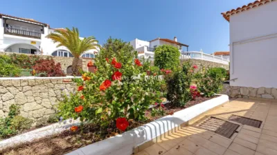 Studio in Playa de Las Américas photo 20