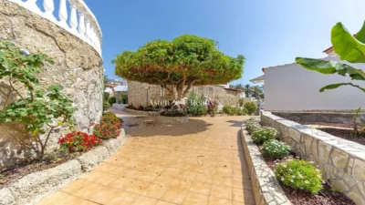 Studio in Playa de Las Américas photo 3