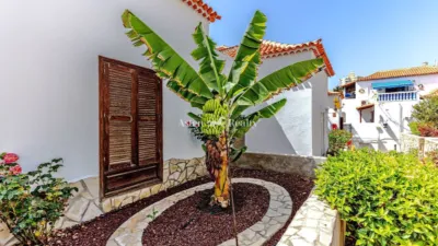 Studio in Playa de Las Américas photo 5