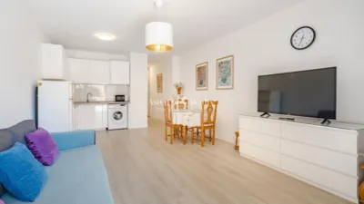 Apartment on Avenida Ernesto Sarti photo 13