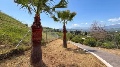 Rustic Finca in Coín photo 12