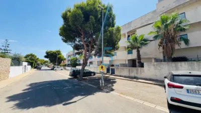 Apartment in La Zenia photo 22