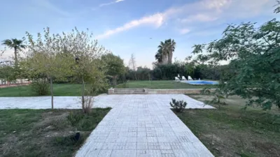 House in Sanlúcar la Mayor photo 4