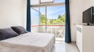 Apartment on Calle de Alemania photo 3