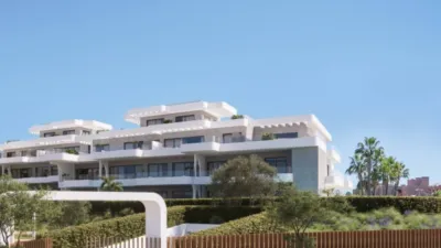 Apartment in Punta Plata photo 12