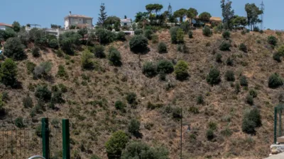 Apartment in Torreblanca del Sol photo 23