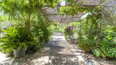 Rustic Finca in Coín photo 28