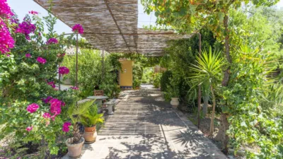 Rustic Finca in Coín photo 32