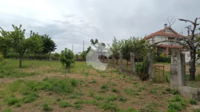 House in Sobrado Do Bispo photo 10