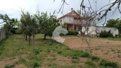 House in Sobrado Do Bispo photo 5