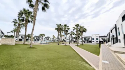 Apartment in La Zenia photo 20