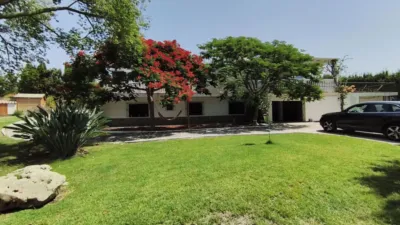 Rustic Finca in El Romeral-Santa Amalia photo 34